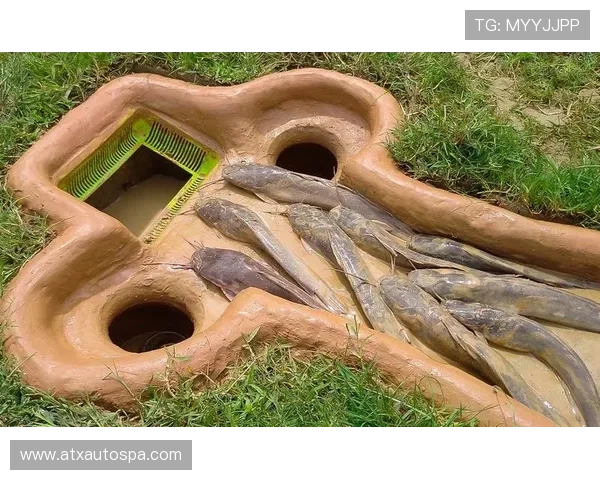 深入分析PA捕鱼中的常见陷阱和应对策略让你避免损失轻松获胜 深入分析PA捕鱼中的常见陷阱和应对策略让你避免损失轻松获胜